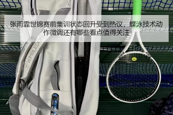 张雨霏世锦赛前集训状态回升受到热议，蝶泳技术动作微调还有哪些看点值得关注